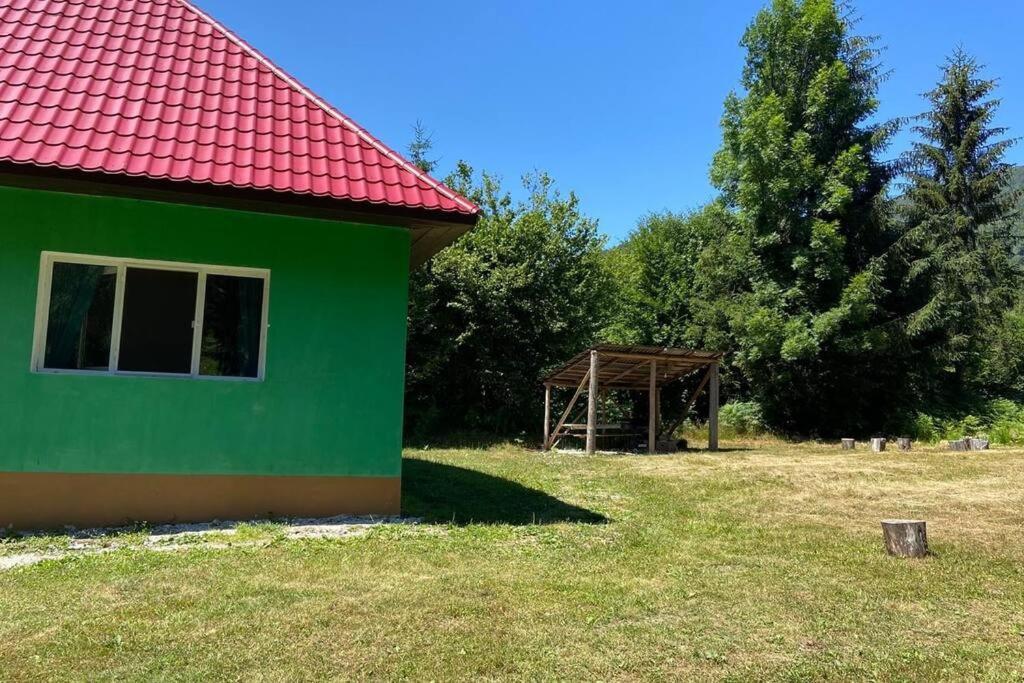 The Green House - Apuseni Mountains Pietroasa  Exterior foto