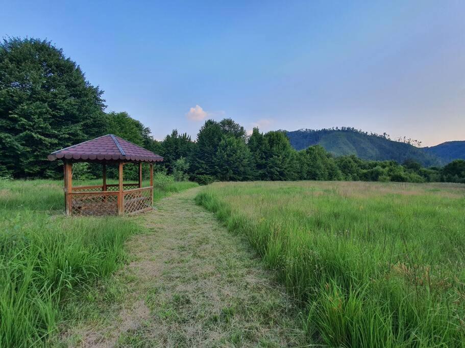 The Green House - Apuseni Mountains Pietroasa  Exterior foto